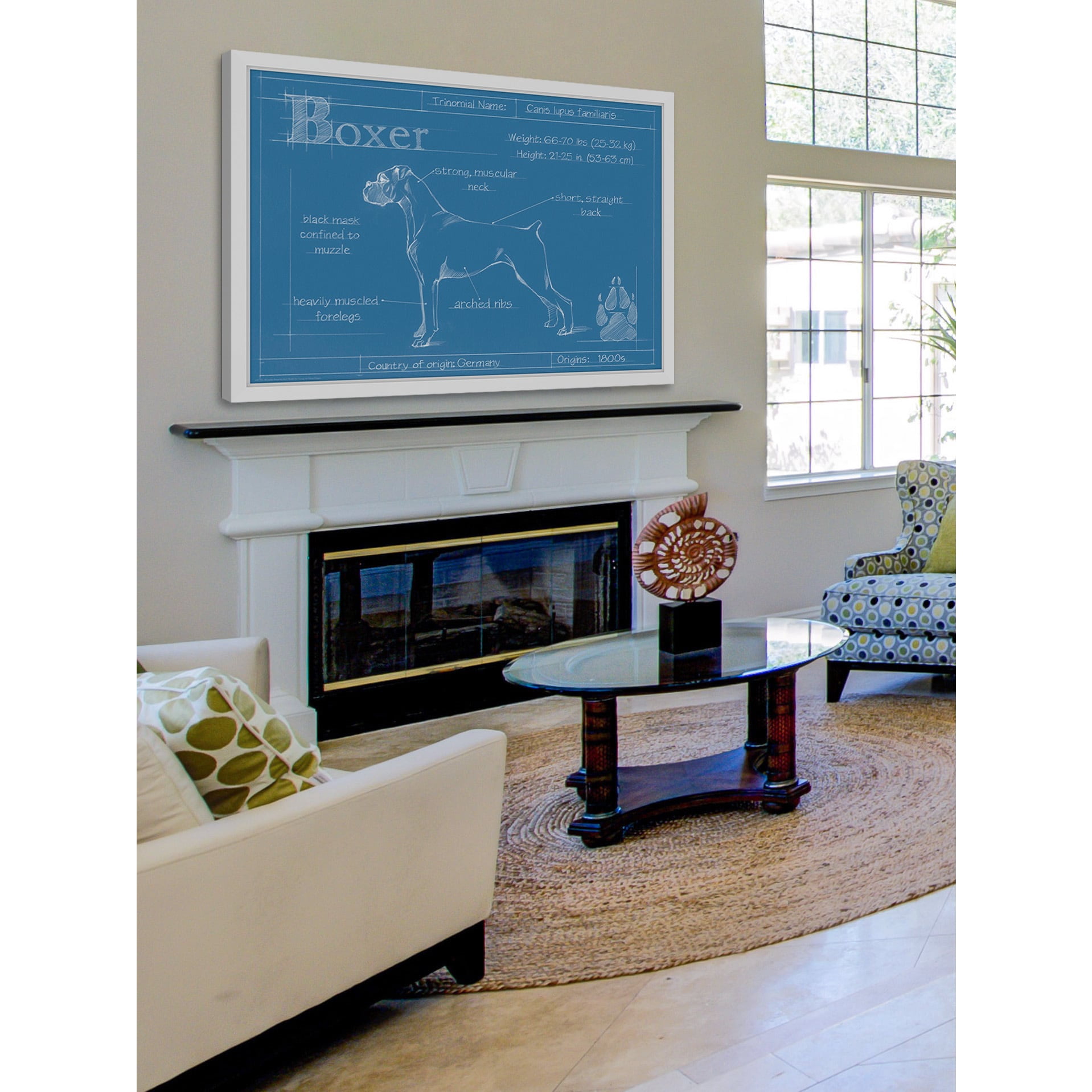 Marmont Hill "Blueprint Boxer" Framed Painting Print