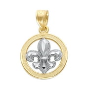 10k Two Tone Gold Fleur de Lis Pendant, Mardi Gras Jewelry, French Gifts for Her