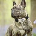 thumbnail image 6 of Didog Personalized Dog Cat Leather Collar Pet Puppy Name Number Print for Small Dogs, 6 of 8