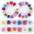 thumbnail image 2 of Flor seca 3D para decoración de uñas, pegatina Floral Natural mixta, calcomanías de Arte de uñas DIY, joyería, esmalte de Gel UV, manicura, 1 caja, 2 of 4