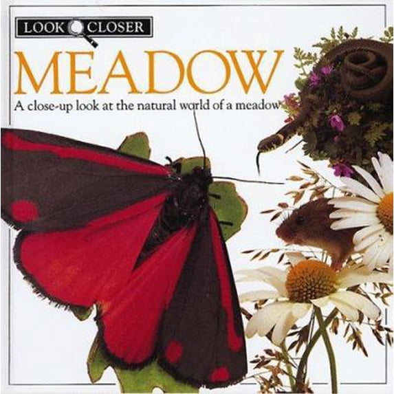 Pre-Owned Meadow (Look Closer) (Hardcover) 1564581292 9781564581297