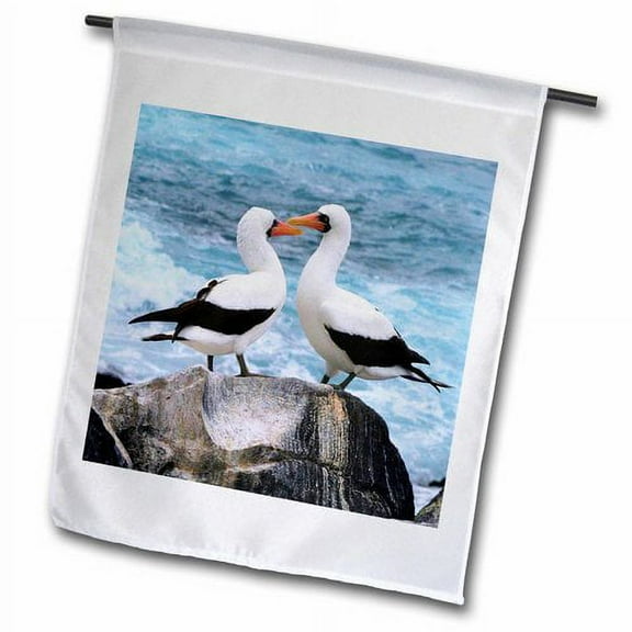3dRose, Pair Of Albatross On Galapagos Island, 18 x 27 inch Garden Flag