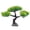 Beauty pine green, variant on Life Like Welcoming Pine Aquariums Decors Fishtanks Landscaping Artificial Pine Bonsais for Home Use Decoration