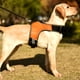 thumbnail image 3 of Correa para el pecho para perros, correa para el pecho para perros que camina al aire libre, suministros de viaje para mascotas, 3 of 5