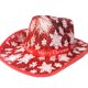thumbnail image 4 of 2x Western Cowboy Hat Cowgirl Hat Fancy Dress Christmas Unisex Adult, 4 of 9
