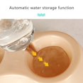 thumbnail image 3 of Pet Cat And Dog Automatic Feeding Double Bowl With Water Bottle Set Auto Water Storage Teddy Dogs Feeders, 3 of 6