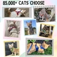 thumbnail image 2 of Juego de arnés y correa para gatos, superajustable, a prueba de fugas, 2 of 6