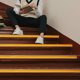 thumbnail image 1 of BESTYASH Adhesiva Para Escalones PVC Amarillo Antideslizante Uso En Interior Y Exterior, 1 of 6