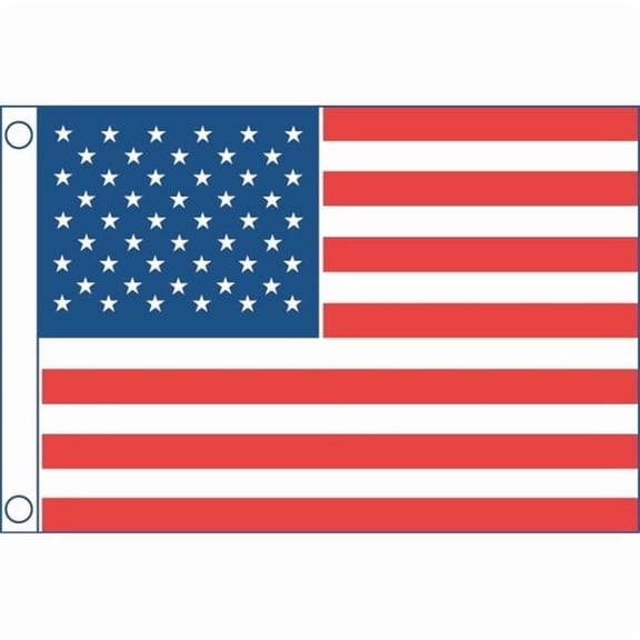 Taylor Made Products 8418 12 x 18 in. Sewn 50-Star Flags - US American Flag for Outdoor Use