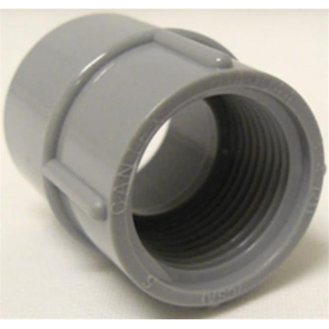 Cantex Industries 26974097 5140043C 0.5 in. PVC Schedule 40 Female