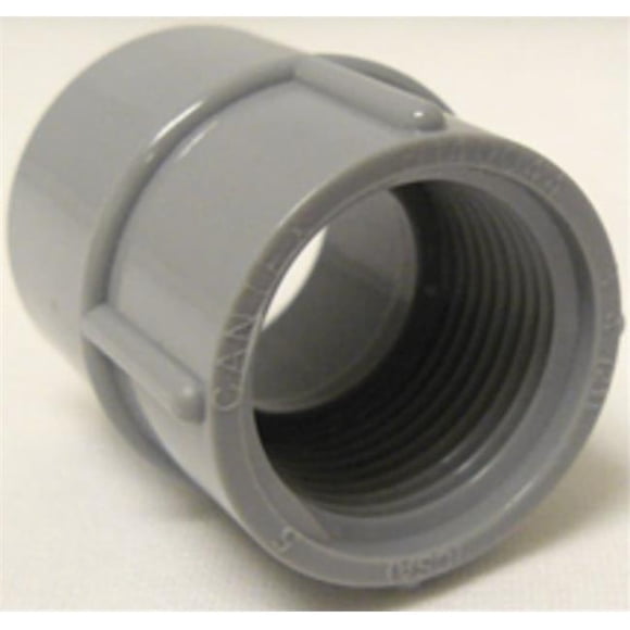 Cantex Industries 26974097 5140043C 0.5 in. PVC Schedule 40 Female Adapters