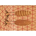 thumbnail image 1 of Ahgly Company Indoor Rectangle Patterned Cantaloupe Orange Area Rugs, 8' x 10', 1 of 6