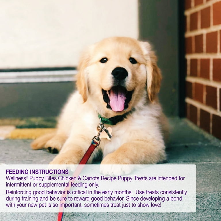Wellness crunchy top puppy bites