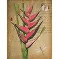 thumbnail image 2 of Greene, Taylor 26x32 Black Ornate Wood Framed with Double Matting Museum Art Print Titled - BROMELIAD ON GOLD, 2 of 4