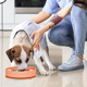 thumbnail image 5 of Cuenco de silicona para perros de alimentación lenta, cuenco de comida para perros para perros grandes/medianos/pequeños Adepaton CPB-US-CJZ631-3, 5 of 5