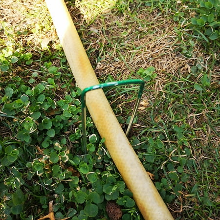 staples pegs