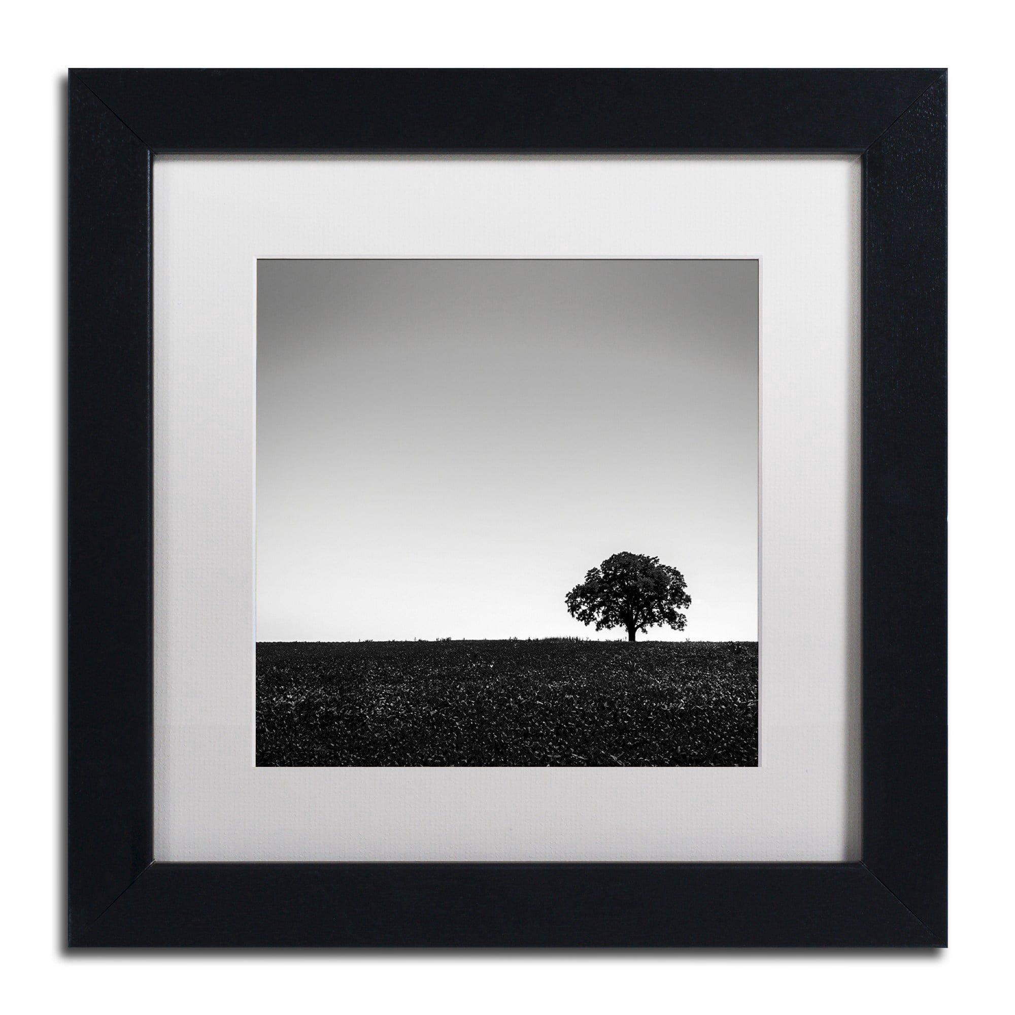 Trademark Fine Art "One Tree Hill" Canvas Art by Dave MacVicar, White Matte, Black Frame