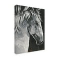 thumbnail image 2 of Jennifer Paxton Parker 'Tribeca Horse I' Canvas Art, 2 of 3
