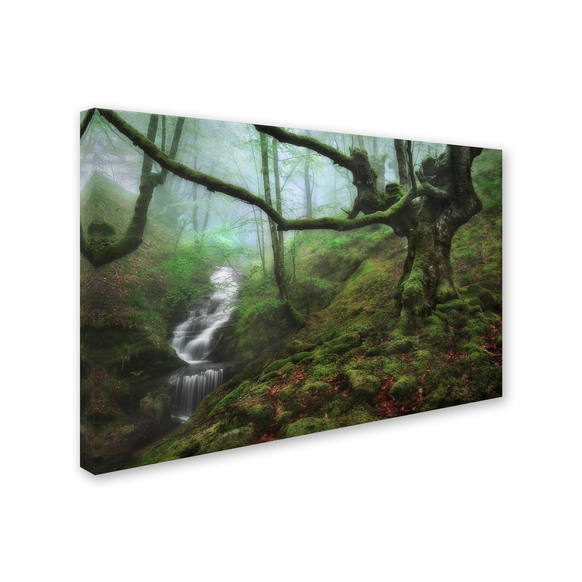 Trademark Fine Art 'The Enchanted Forest' Canvas Art by Fran Osuna