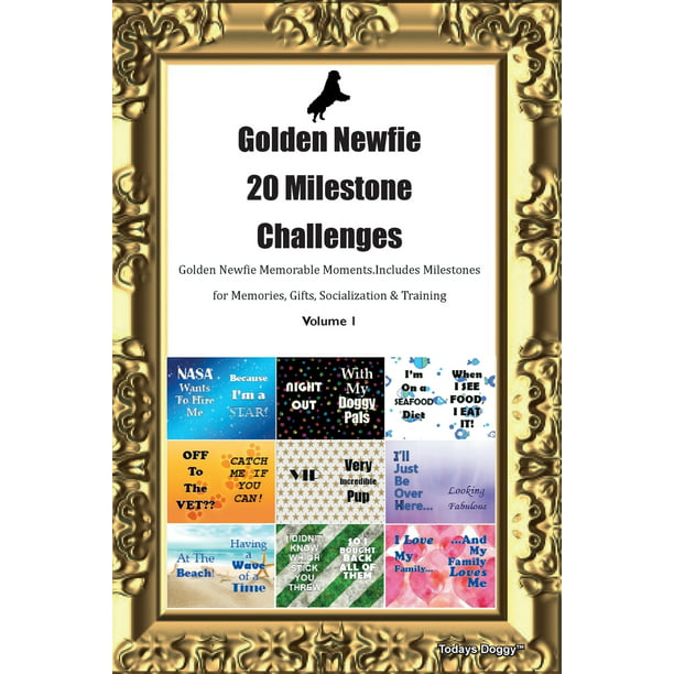 Challenges Golden Newfie Memorable