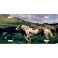 thumbnail image 1 of Chevaux Sauvages en Cours d'Exécution Plaque d'Immatriculation, 1 of 1