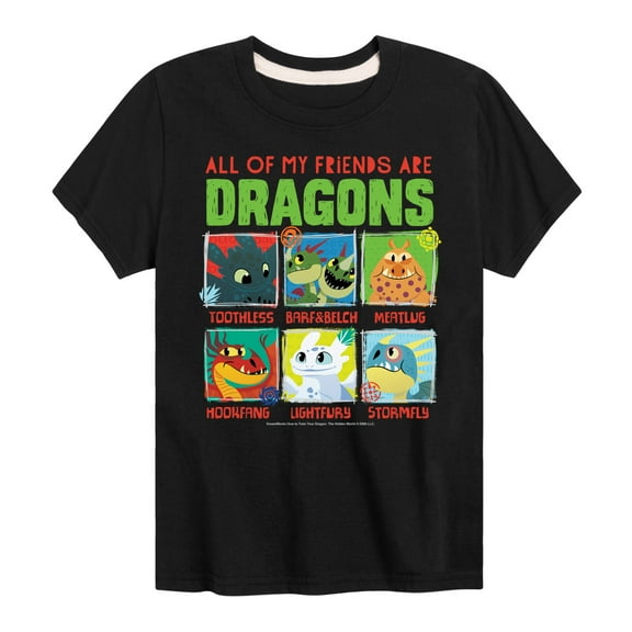 How to Train Your Dragon - All My Friends Are Dragons - Toddler & Youth Short Sleeve Graphic T-Shirt