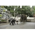 thumbnail image 2 of Zookeeper (DVD), 2 of 6