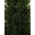 thumbnail image 4 of Two 5 Foot Outdoor Artificial Cedar Topiary Trees Potted Plants Two Peace Construction, 4 of 5