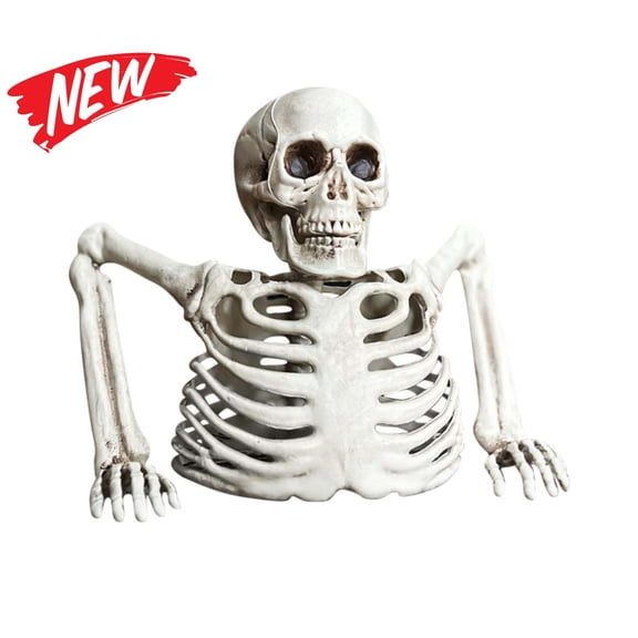 Halloween Decorations Savings, Halloween Decoration Half Skeleton Prop White Plastic Tabletop Skeleton for Halloween Decorations Indoor Outdoor Spooky Ambiance, Halloween Bone Decor Yard Skeleton