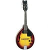 Dean Guitars Tennessee AE Mandolin
