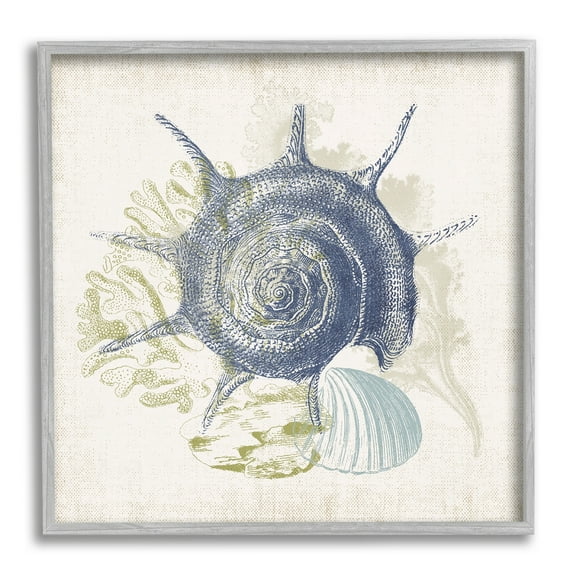 Stupell Industries Intricate Conch Seashell Drawing Layered Coral Botanicals Graphic Art Gray Framed Art Print Wall Art, Design by Victoria Barnes