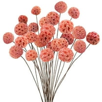 HYG Dried Balls Flowers 20 Pcs Dried Flowers Pink Flower Bouquet Ball Flower Branch for Flowers Arrangements for Wedding Home Party Decor,16 inch