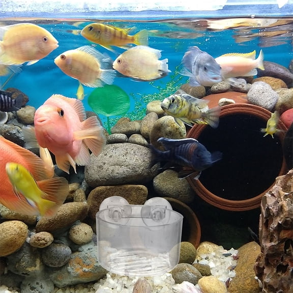 10-Pack Floating Aquarium Plant Holders for Top of - Aquatic for Fish Decoration