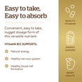 thumbnail image 4 of Suplemento SOLGAR de vitamina B12 sublingual 1000 mcg 250 comprimidos, 4 of 6