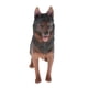 thumbnail image 1 of Juguete de figura animal de perro pastor Sunnimix marron, 1 of 8