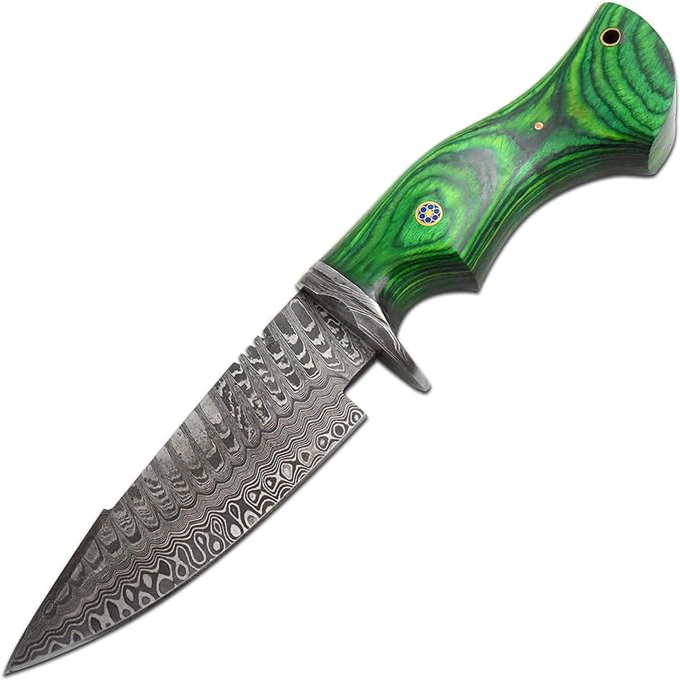 Old Ram Damascus Buck Knife with Sheath - 6" Drop Point Hunting Knife with Leather Sheath (Green Wood)