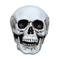 thumbnail image 1 of 1pc Halloween Skull Prop Plastic Simulation Skeleton Decor Party Tricky Toy, 1 of 2
