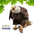 thumbnail image 3 of Bird Repel Scarecrow, Owl Scarecrow Scarer Pendant, Decorative Scarer Pendant with Bell, Fake Bird Scare Device, Waterproof Patio Balcony Garden Decorations, 3 of 10