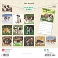 thumbnail image 2 of Saint Bernards | 2025 12x24" (Hanging) Square Wall Calendar | BrownTrout, 2 of 9