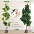 thumbnail image 3 of Ourlova 7FT Fiddle Leaf Fig Tree Artificial with 141 Leaves, 3 of 6