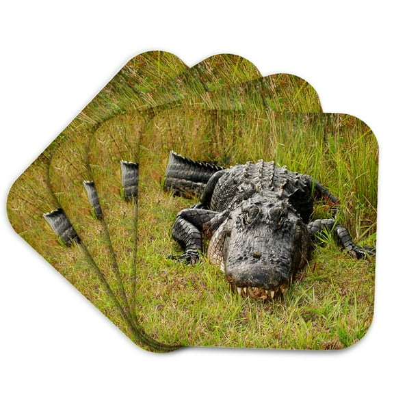 3drose, Even Larger Florida Gator, Set of 4 Coasters - Soft