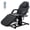 Black, variant on Thanaddo Electric Adjustable Massage Bed Spa Table, 440lbs Capacity, Remote Control Tattoo Bed with Detachable Armrests and Headrest - Black