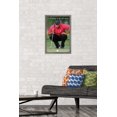 thumbnail image 2 of Tiger Woods - The Ball & Me Wall Poster, 14.725" x 22.375" Framed, 2 of 6
