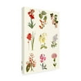 thumbnail image 2 of Vision Studio 'Botanical Array Chart' Canvas Art, 2 of 3