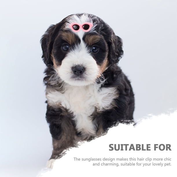 unbranded 15Ud Accesorios Para De Y Perro Gafas Decorativos Y Prácticos