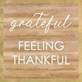 thumbnail image 2 of Dos Santos, Bella 20x20 Gold Ornate Wood Framed with Double Matting Museum Art Print Titled - Grateful Feeling Thankful, 2 of 4