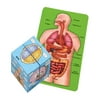 Book Educational Development Toys Puzzle Card