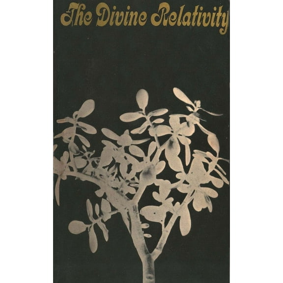 The Terry Lectures Series: The Divine Relativity : A Social Conception of God (Paperback)