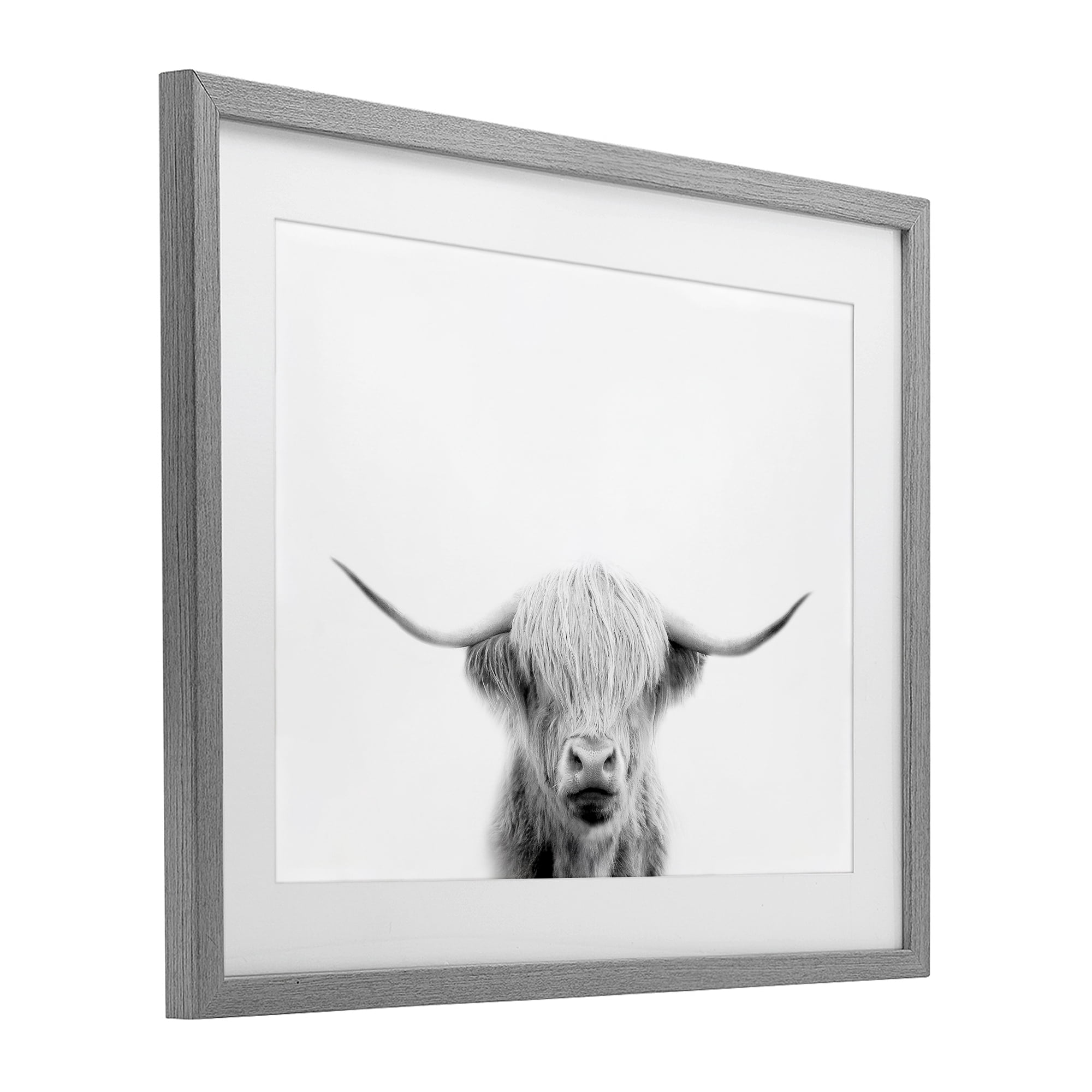 Stupell Industries Scottish Cow Portrait Gray Framed Print Under Glass, design by Leah Straatsma
