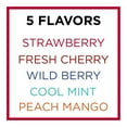 thumbnail image 2 of Carmex Daily Care Minis RE32Moisturizing Lip Balm Tubes with SPF 15 Strawberry Cool Mint Wild Berry Peach Mango and Fresh Cherry Lip Balm Pack 018 OZ Each 5 Count Pack of 3, 2 of 3